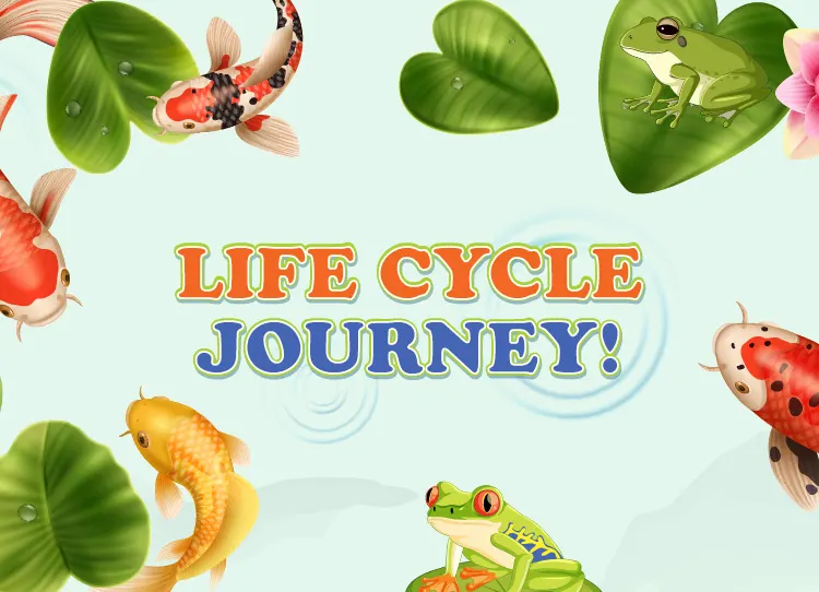 Life_Cycle_journey!_Banner